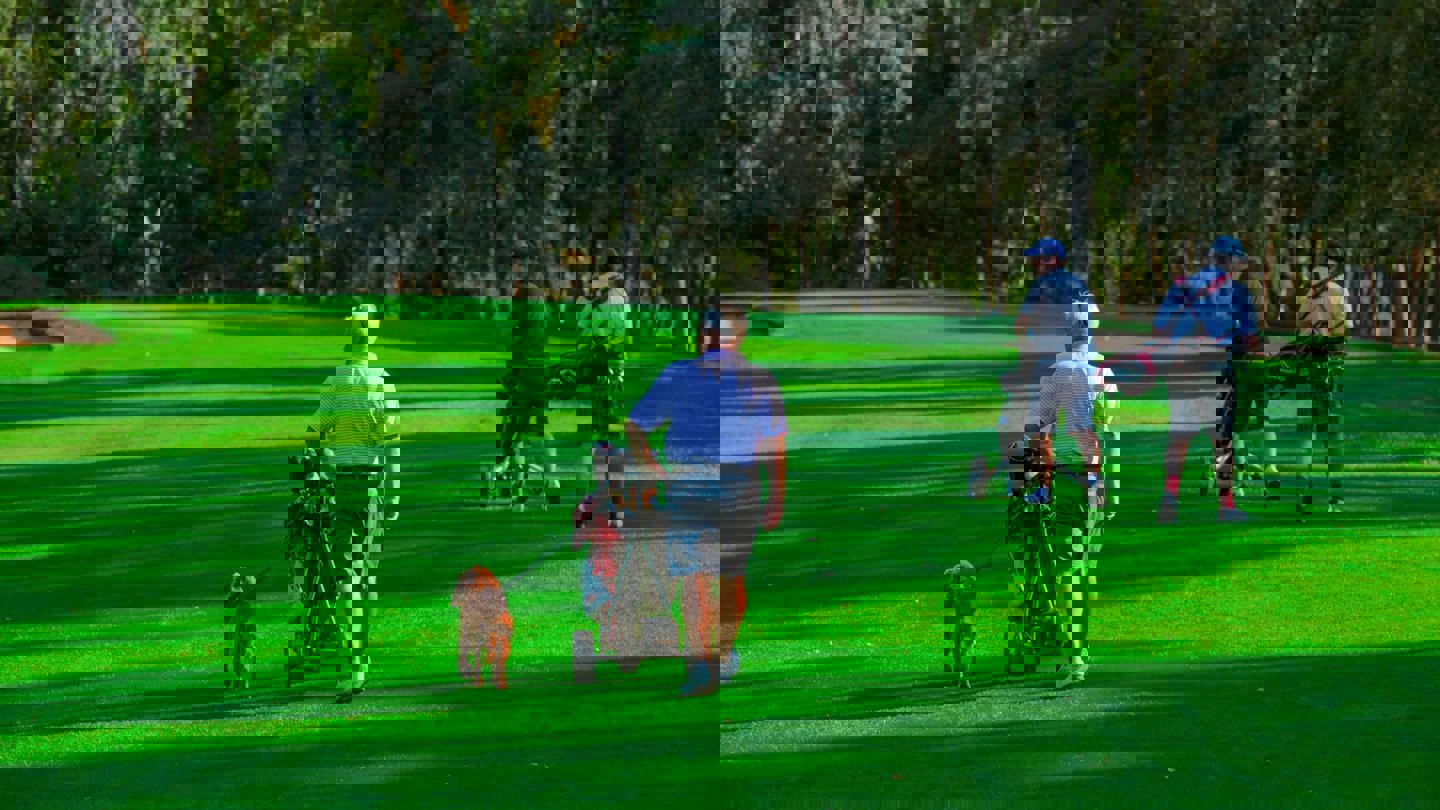 backgroundImageAltText