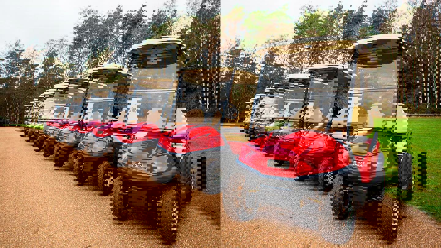 Image of buggies