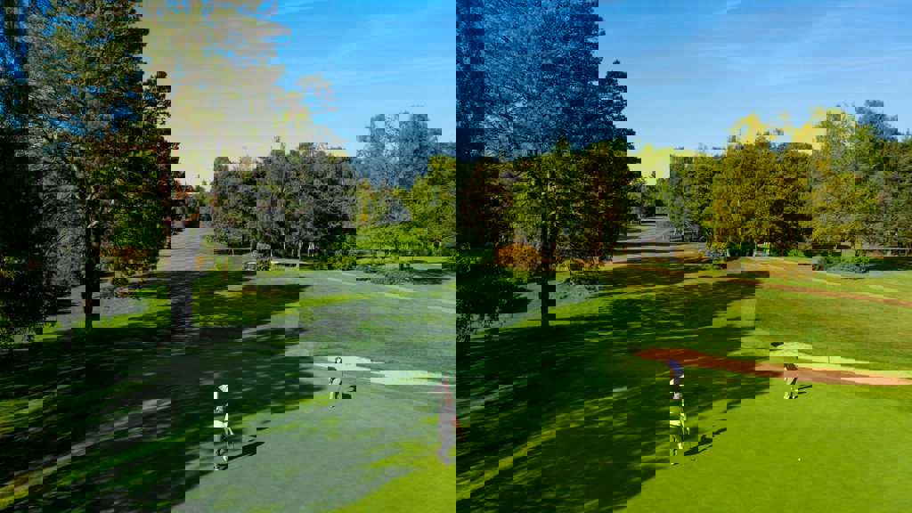 Image of dukes 11th