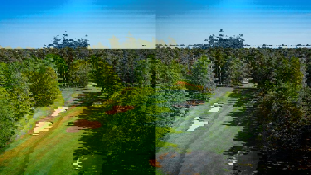 Image of duke's 1st