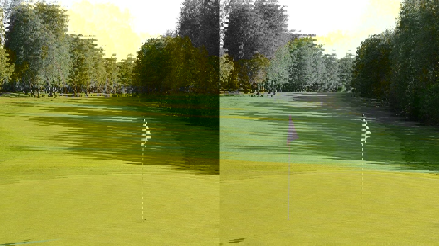 Image of dukes 7th