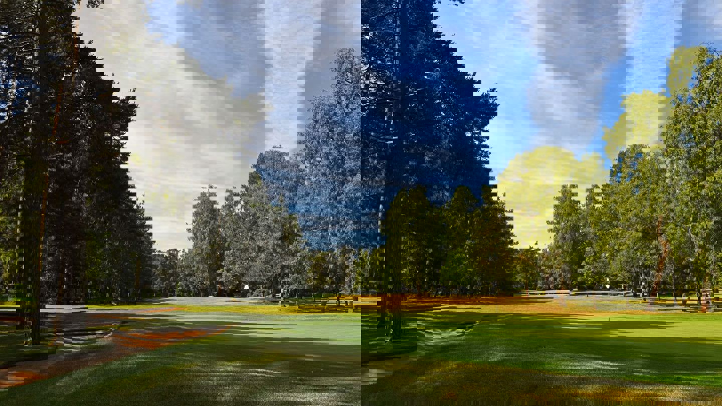 Image of duke's12 cd