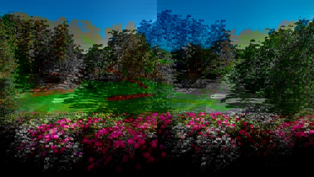 Image of dukes 3rd 01