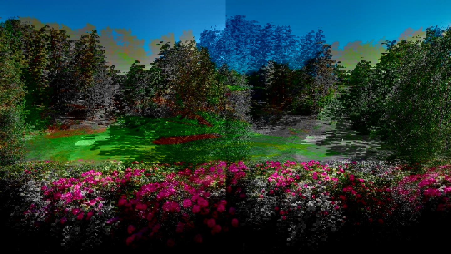 backgroundImageAltText