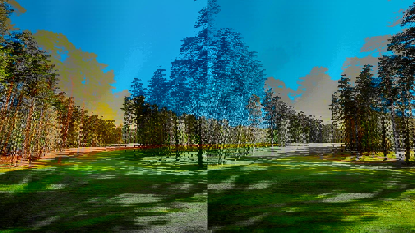 Image of marq 2nd 01