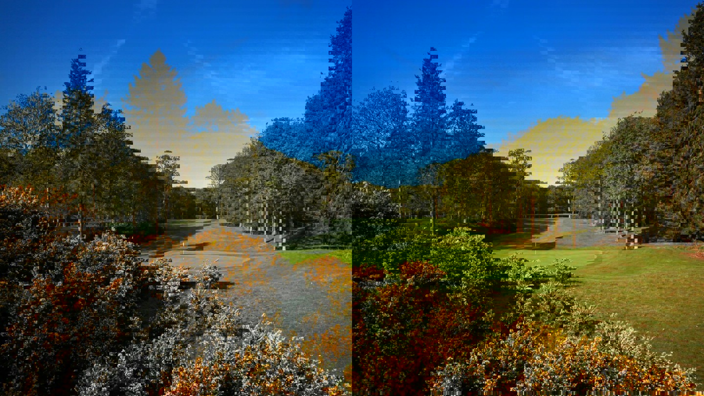 Image of marq 3rd 03