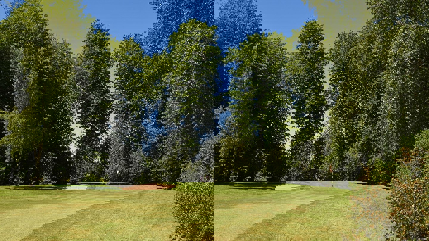 Image of duches5 cd